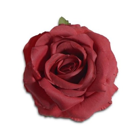 ROSA RED STELO CM10XD13